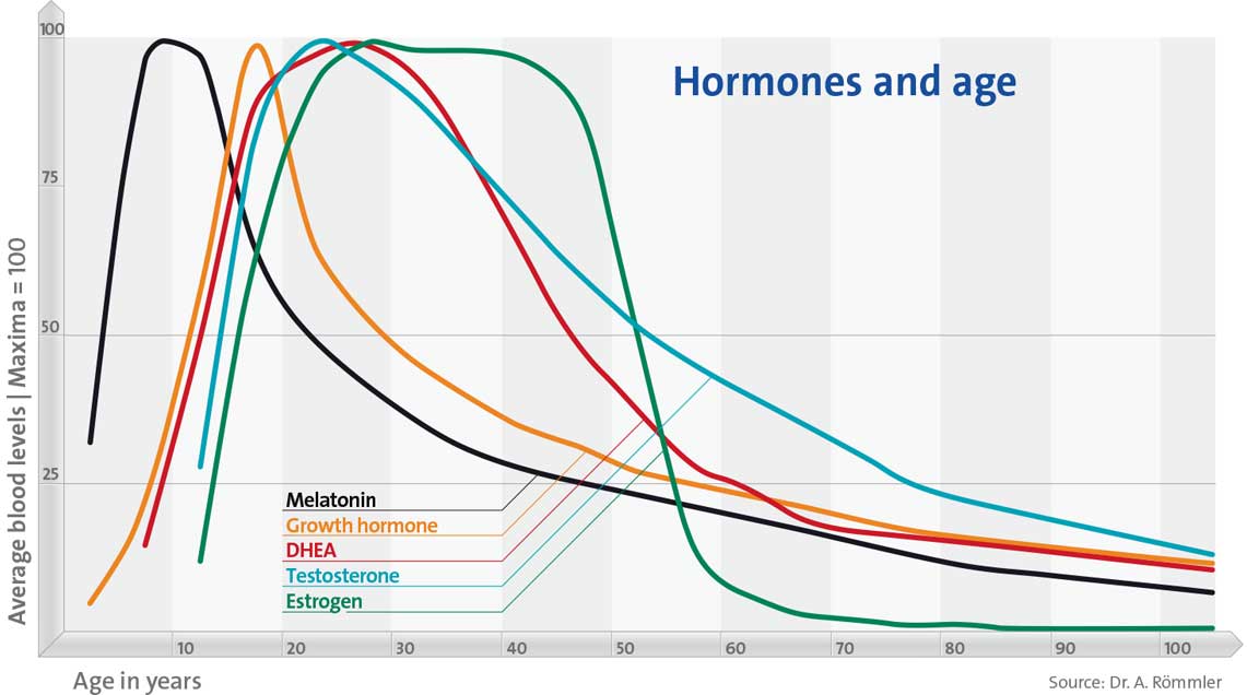 Hormones And Chronobiology Andromenopause 