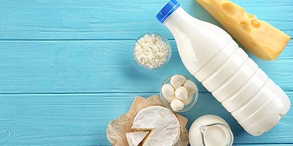 levels of dairy consumption tied to early menopause