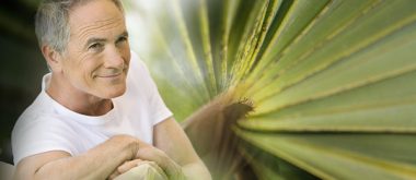 saw palmetto for andropause and mens health 2