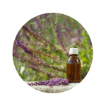The Best Essential Oils for During Menopause  3