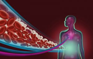 Aging and the Effect of Decreased Triglyceride Levels