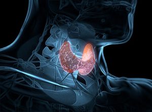 Thyroid Health and the Impact on Aging 