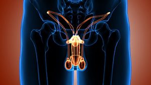 Everything You Need to Know About Male Hypogonadism 