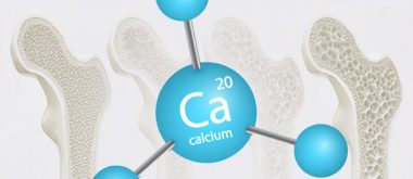 the effects of calcium in osteoporosis risk 2