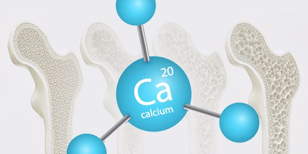 the effects of calcium in osteoporosis risk 2
