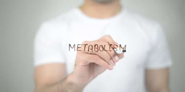 Overcoming an Aging Metabolism 2