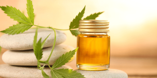 CBD Oils for Anti-Aging Effects