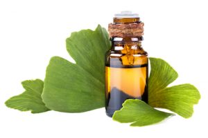 Gingko Biloba for Men’s Health and Andropause Symptoms 1