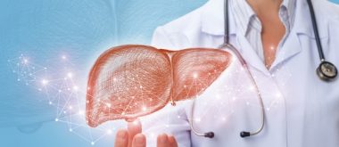 Maintaining Healthy Liver Function With Age