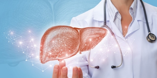 Maintaining Healthy Liver Function With Age