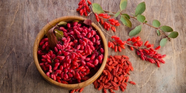 The Natural Anti-Aging Benefits of Goji Berry