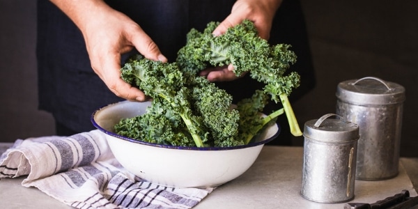 Everything You Need to Know About Kale for Healthy Aging