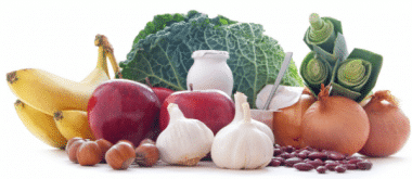 Prebiotics Just as Important as Probiotics for Seniors 1