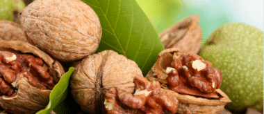 The Anti-Aging Benefits of Walnuts 1