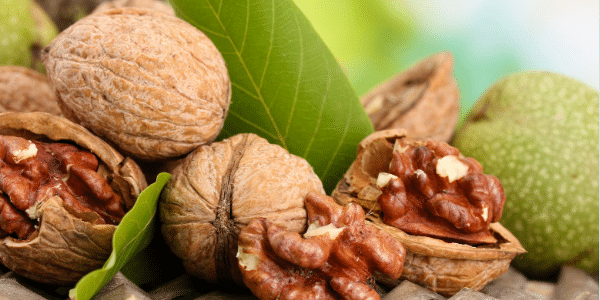 The Anti-Aging Benefits of Walnuts 1