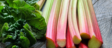 The Health Benefits of Rhubarb as You Age