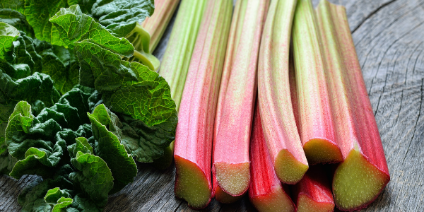 The Health Benefits of Rhubarb as You Age