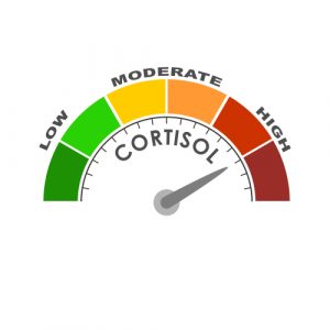 How to Manage Cortisol Levels Naturally 1