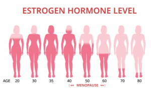 A Complete Guide to Aging Hormones 1