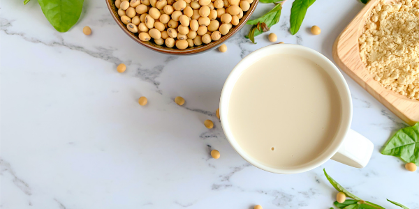 How Soy Isoflavones Affect Aging