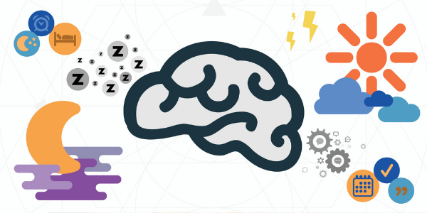 Circadian Rhythm and Alzheimer’s Disease