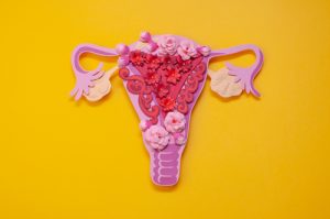 Endometriosis and Early Menopause: Is There a Link?