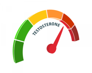 Does a High Protein Diet Affect Testosterone Levels?