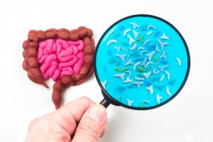 Gut Bacteria Linked to More Severe Strokes