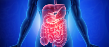 The Connection Between Gut Health and Diabetes