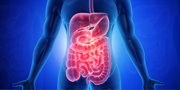 The Connection Between Gut Health and Diabetes