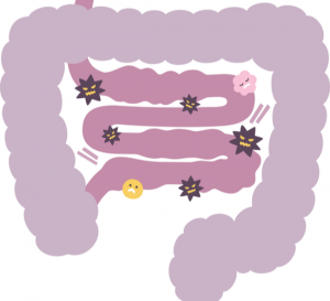 Gut Bacteria and Blood Pressure: Understanding the Connection