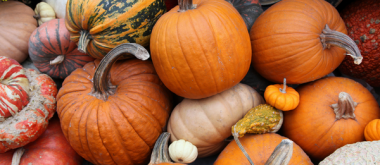 8 Reasons to Include Pumpkin in Your Diet as You Age