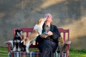 Health Benefits of Having Pets as You Age 1