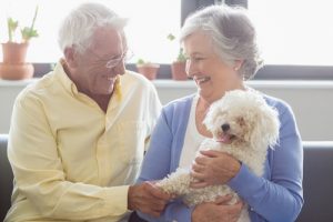 Health Benefits of Having Pets as You Age 2