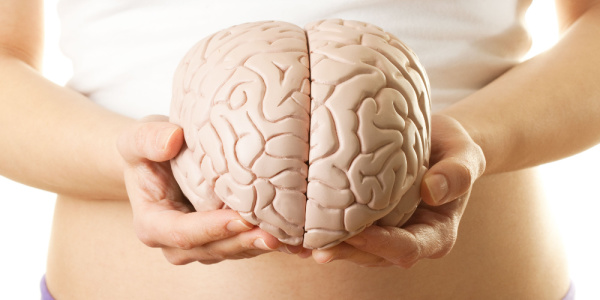 How Reproductive Lifespan And Brain Health Are Related