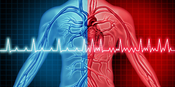 Atrial Fibrillation in Postmenopausal Women: The role of stress and insomnia