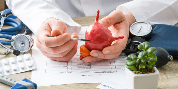 Is There a Link Between Bladder Cancer and Intestinal Bacteria?