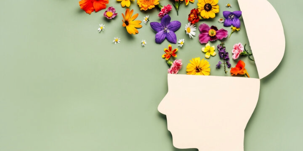 Air Pollution can Affect Mental Health of Older Adults