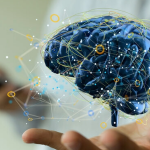 A Protective Layer of Sugar on the Blood Vessels in the Brain Appears to Play an Important Role in Preventing Cognitive Decline