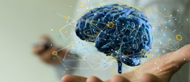 A Protective Layer of Sugar on the Blood Vessels in the Brain Appears to Play an Important Role in Preventing Cognitive Decline