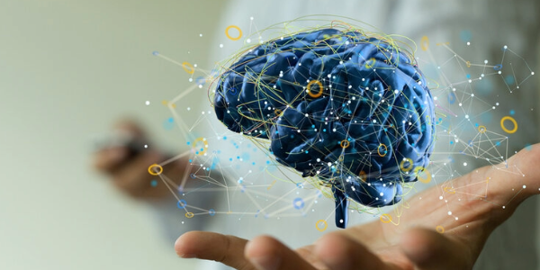 A Protective Layer of Sugar on the Blood Vessels in the Brain Appears to Play an Important Role in Preventing Cognitive Decline