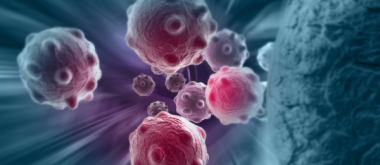 Cancer Risk Decreases With Age: Research Findings Provide a Possible Explanation