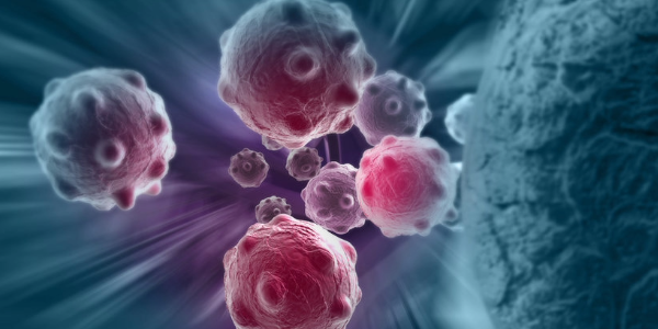 Cancer Risk Decreases With Age: Research Findings Provide a Possible Explanation