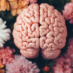 Hormone Cycles Shape the Structure and Function of Important Memory Regions in the Brain 1