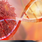 Link Between Cancer-Causing Gene and Aging