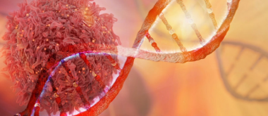 Link Between Cancer-Causing Gene and Aging