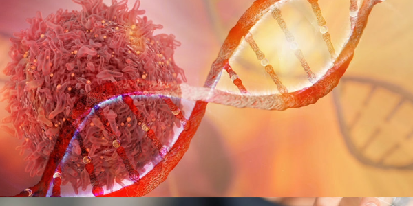 Link Between Cancer-Causing Gene and Aging