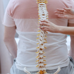 Stem Cells Derived from Fat Could Soon Enable a Simple and Safe Treatment for Spinal Fractures and Osteoporosis 1