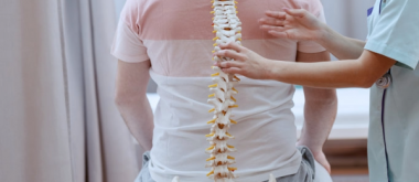 Stem Cells Derived from Fat Could Soon Enable a Simple and Safe Treatment for Spinal Fractures and Osteoporosis 1