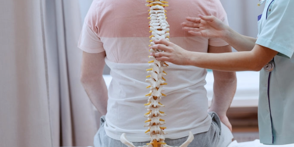 Stem Cells Derived from Fat Could Soon Enable a Simple and Safe Treatment for Spinal Fractures and Osteoporosis 1